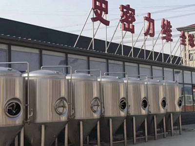 闽侯精酿啤酒设备厂—如何判断精酿啤酒设备的密封件需要更换？